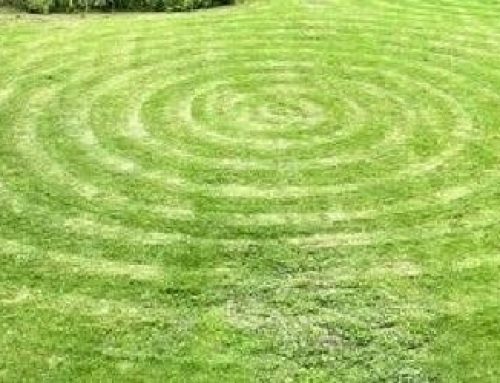 Lawn Mowing Patterns